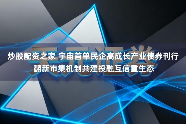 炒股配资之家 宇宙首单民企高成长产业债券刊行 翻新市集机制共建投融互信重生态