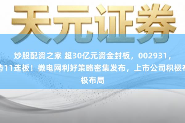 炒股配资之家 超30亿元资金封板，002931，强势11连板！微电网利好策略密集发布，上市公司积极布局
